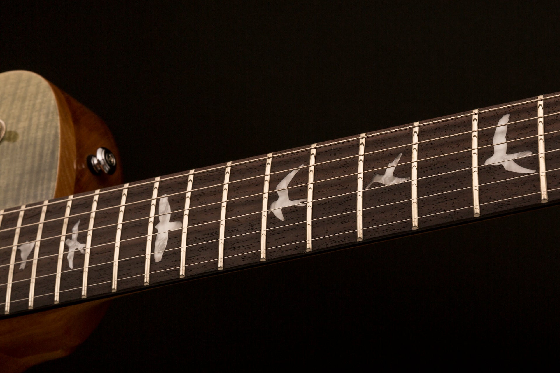 PRS SE Zach myers trampas green - HIENDGUITAR PRS SE GUITAR