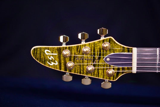 ESP Horizon CTM NT FM Ivy green E3101242