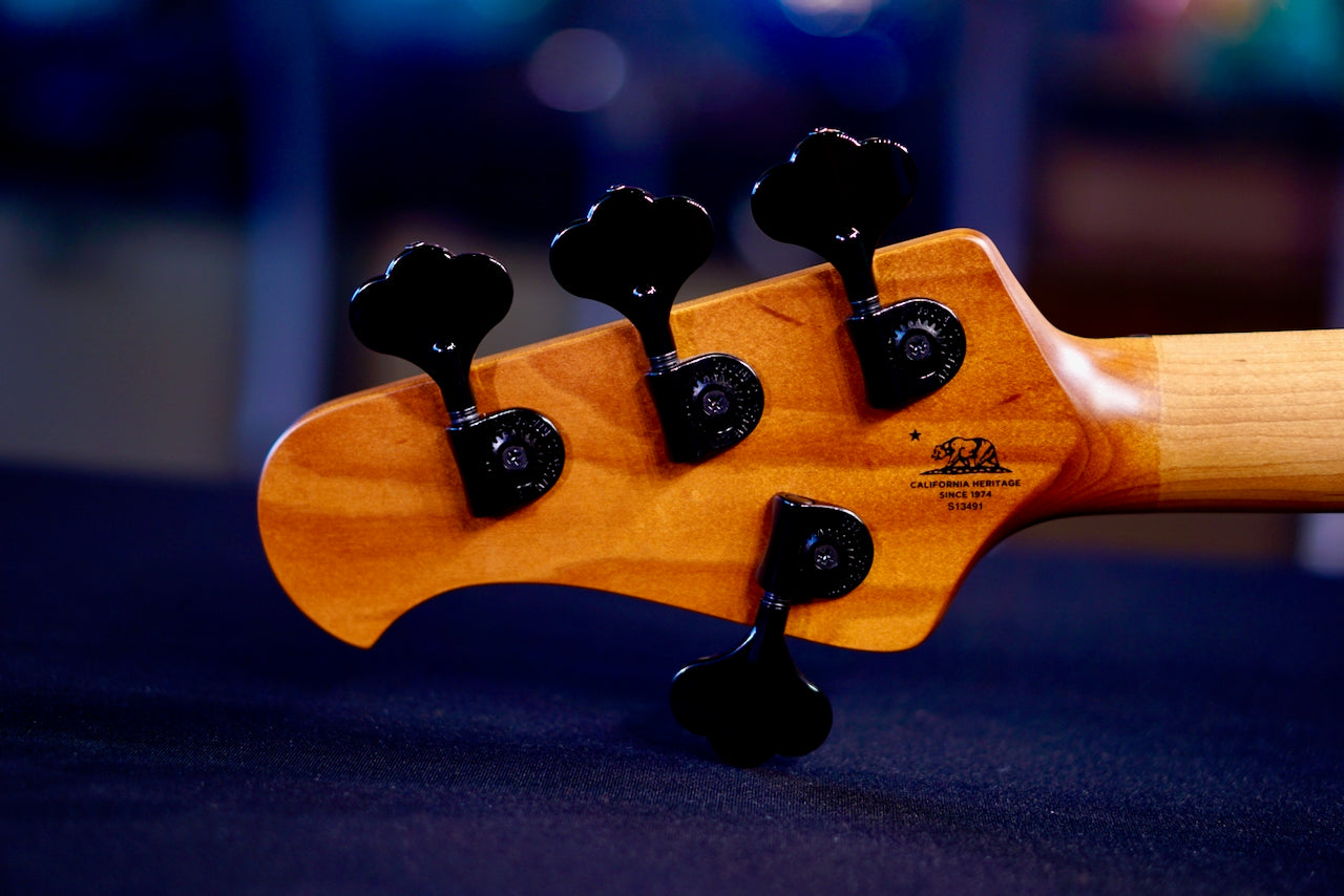 Ernie Ball Music Man Stingray Dark Ray Gold Bar S13491