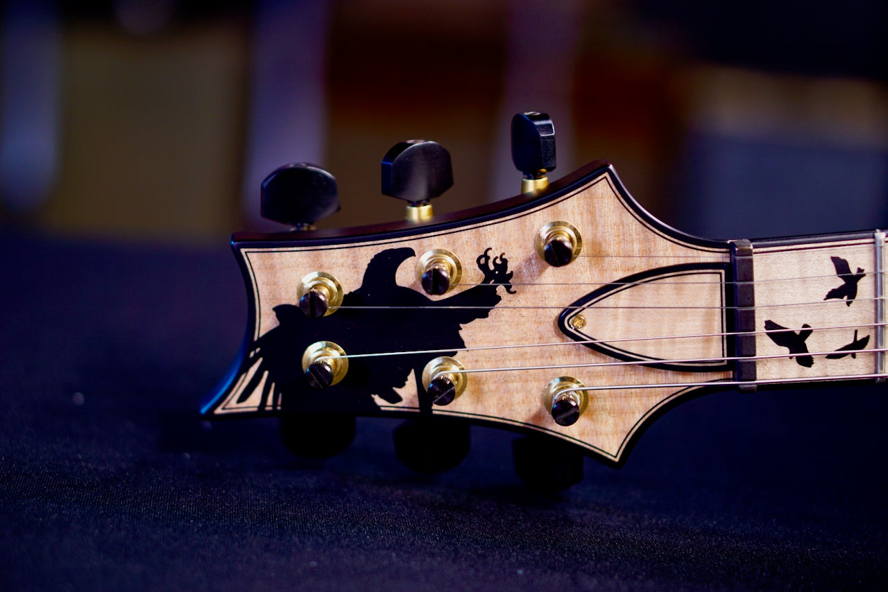 PRS Privatestock Modern Eagle V Buckeye burl PS 11963 0415605