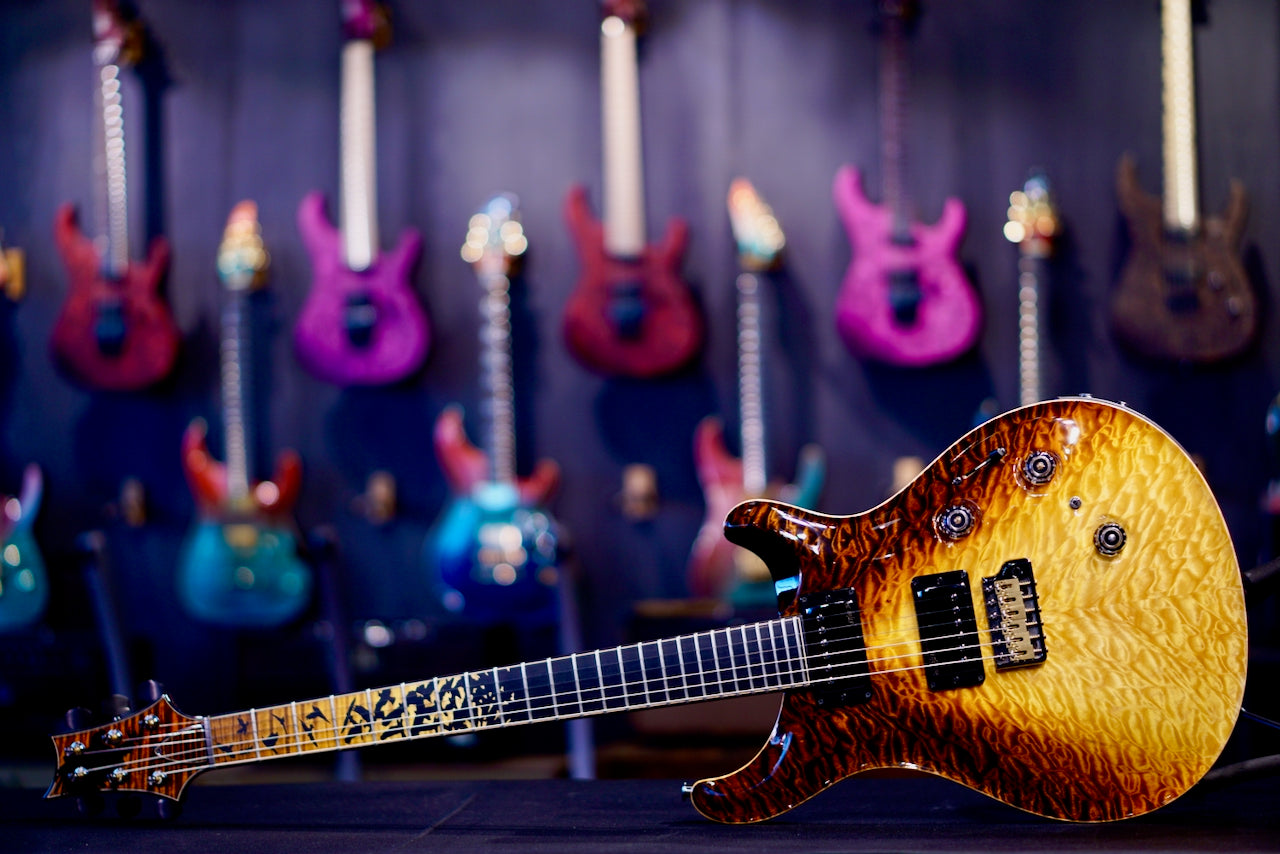 PRS Privatestock P24 Sandstorm Dragon's Breath Birds Of A Feather 417992 PS 12237