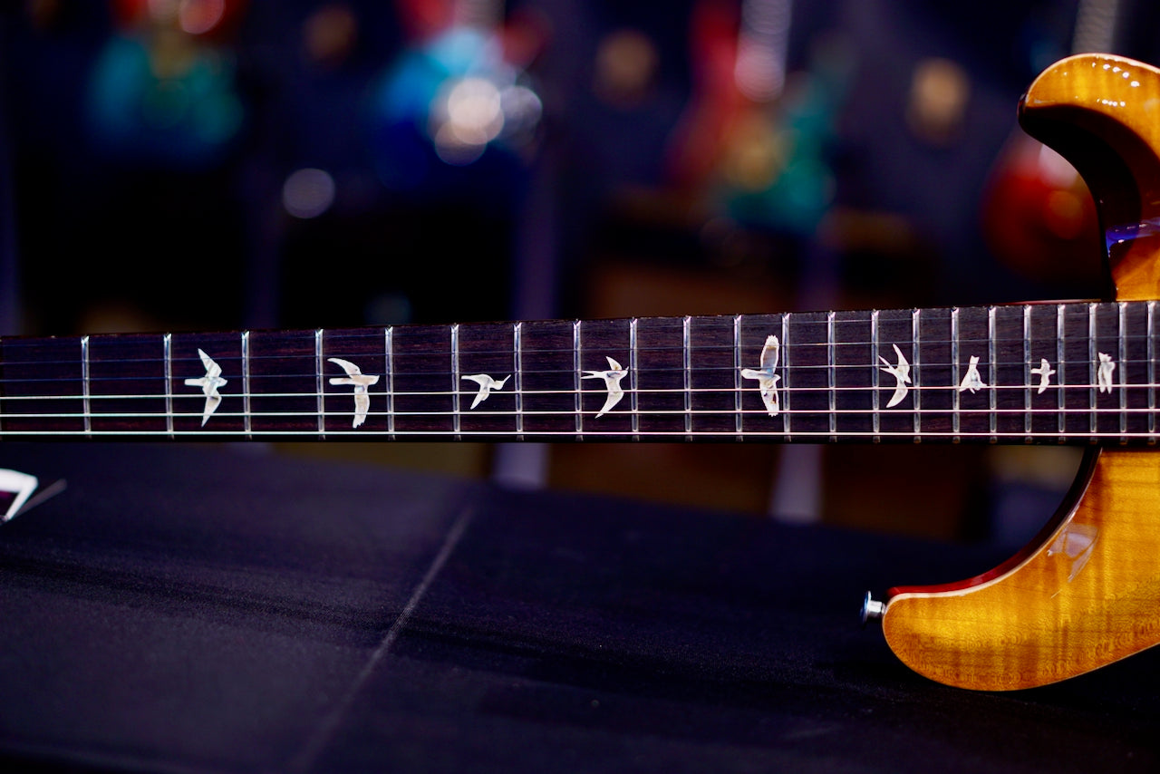 PRS DGT Semi-Hollow Birds McCarty Sunburst 0420500