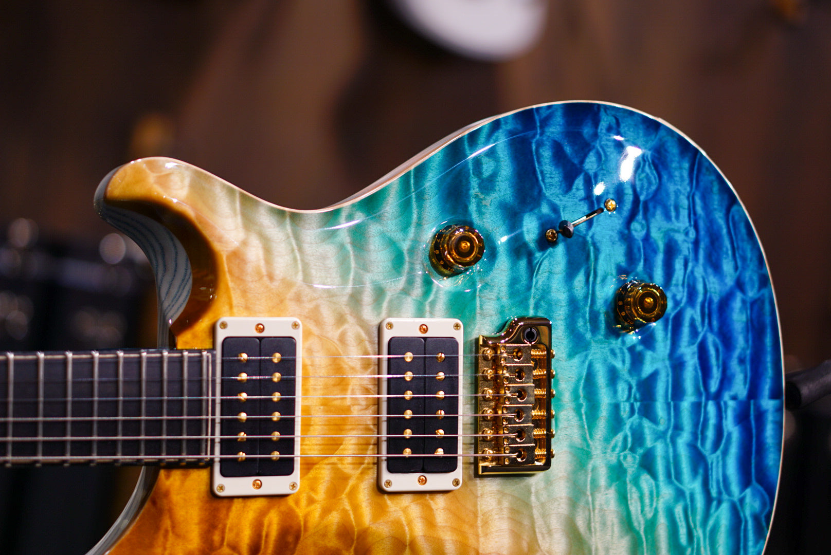 PRS Private Stock Custom 24 Beach Cross Fade birds of feather  #11486 392779