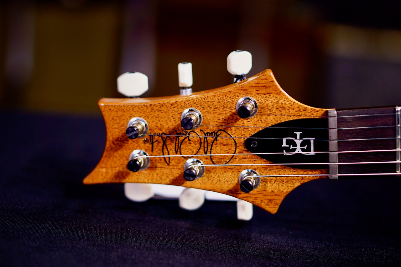 PRS DGT Birds Faded Blue Jeans 0421126