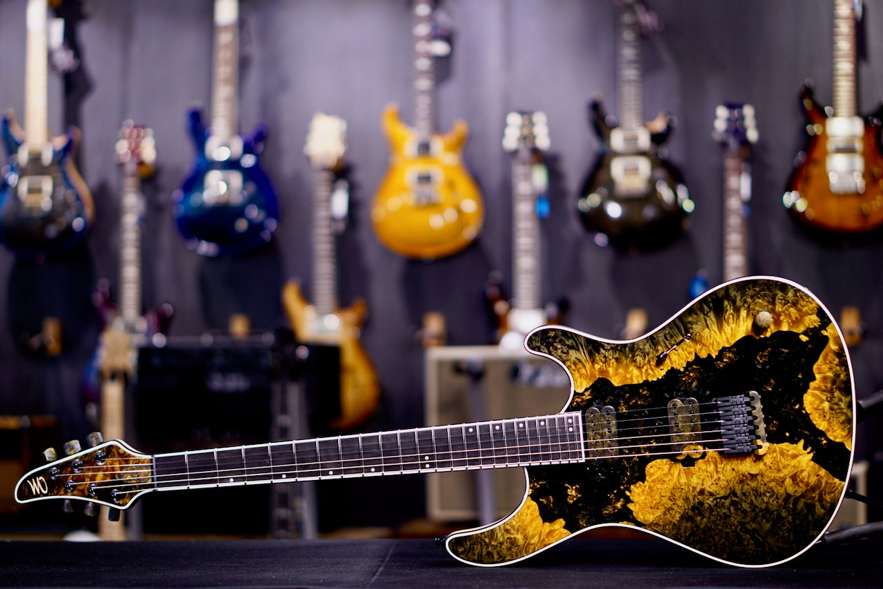 Mayones Regius  6 Burl Maple RF2605286