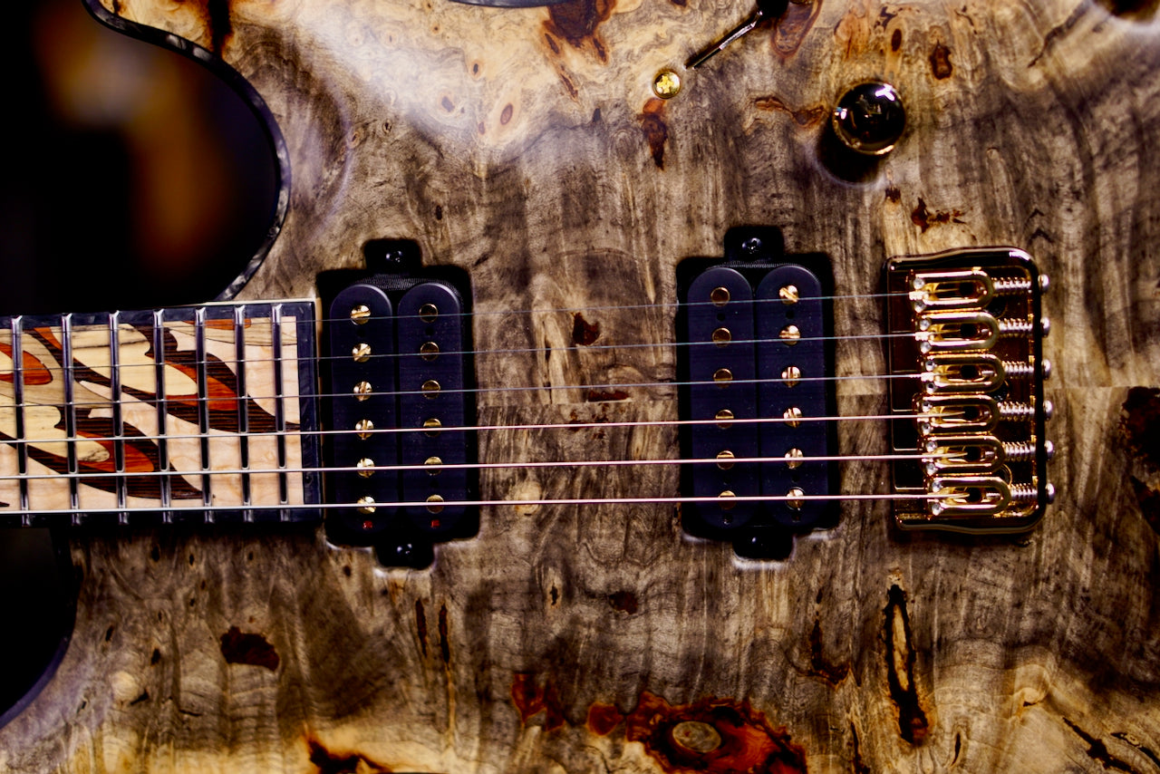 Mayones Core 6 Buckeye Burl Birds of paradise RF2605289