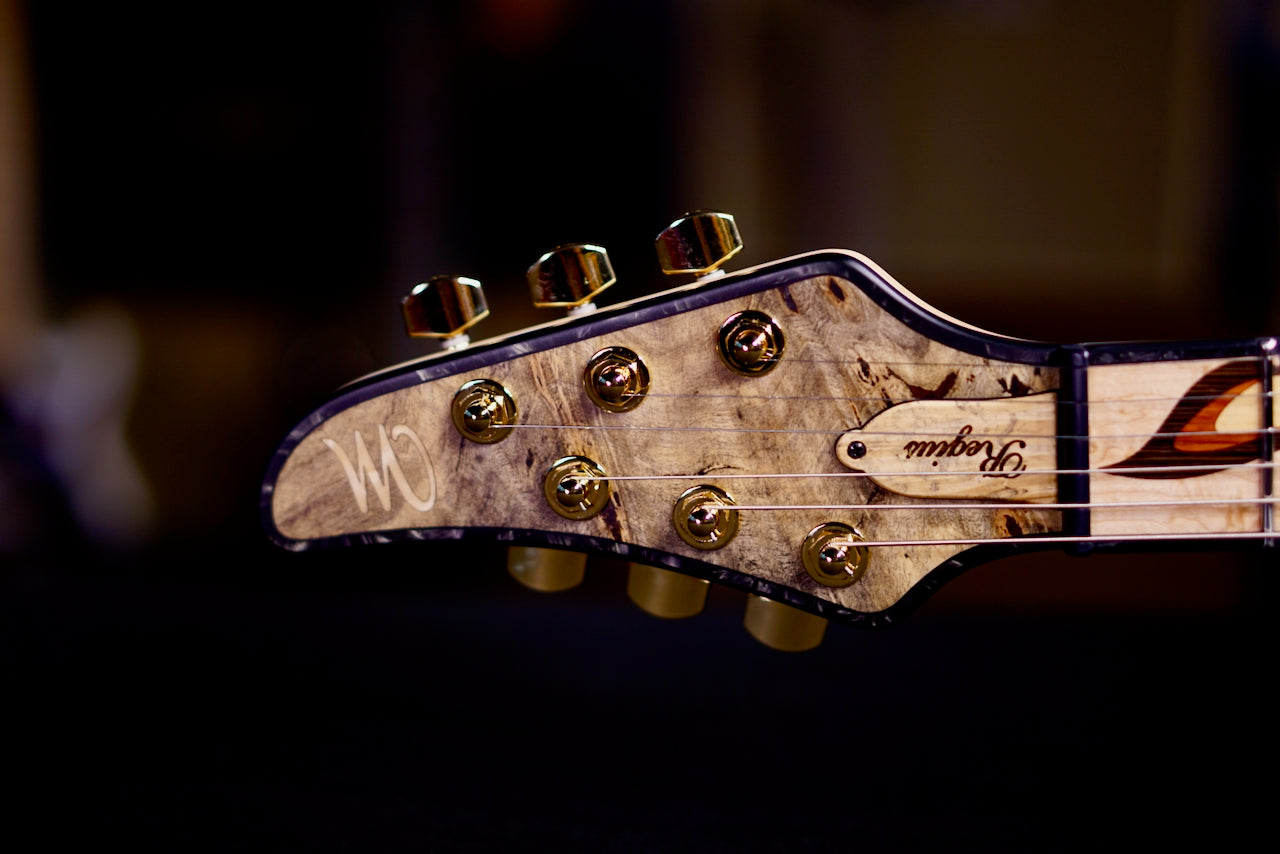 Mayones Core 6 Buckeye Burl Birds of paradise RF2605289