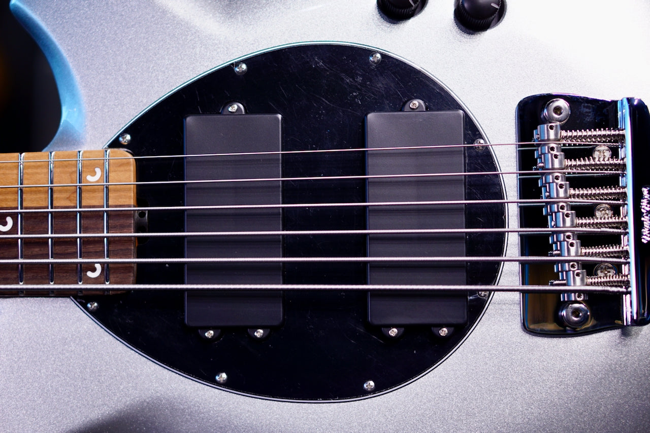 Ernie Ball Music Man John Myung Platinum Silver  S13599