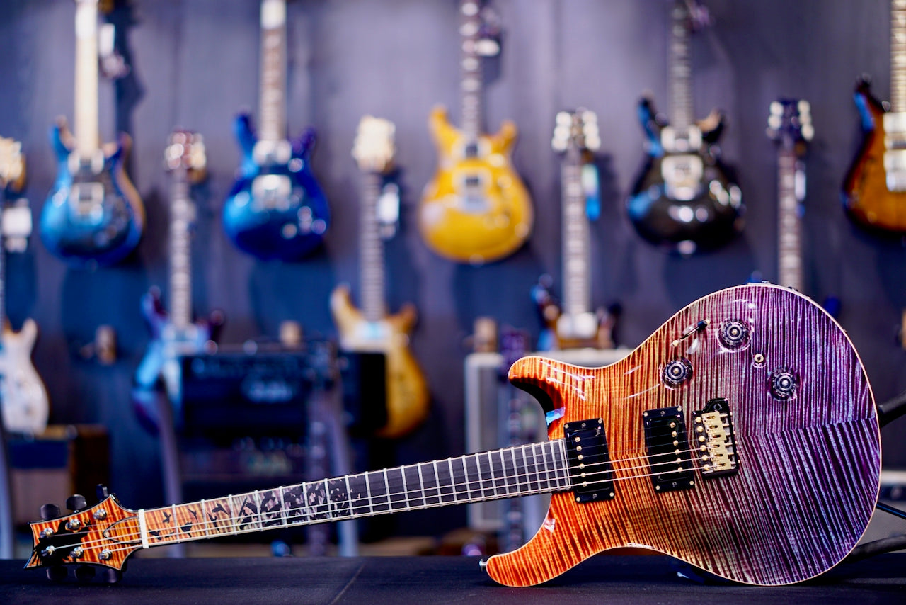 PRS Private Stock Custom 24 Piezo Zombie Fade Birds Of A Feather PS#11234