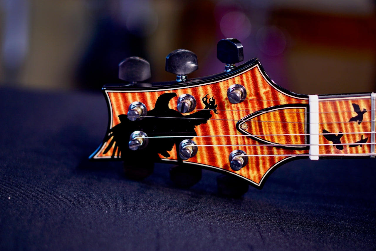 PRS Private Stock Custom 24 Piezo Zombie Fade Birds Of A Feather PS#11234