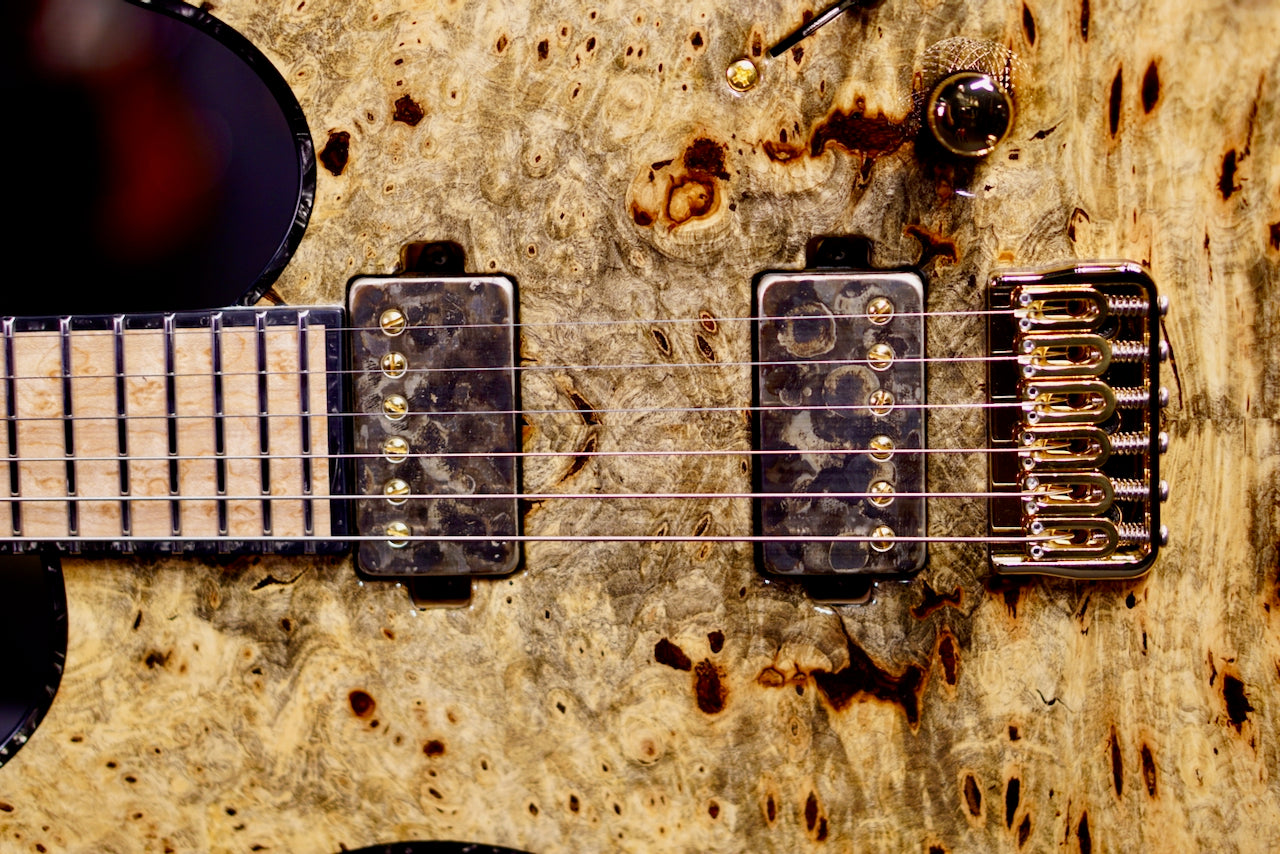 Mayones Regius 6 Buckeye Burl Master Grade Trans Natural RF2605295
