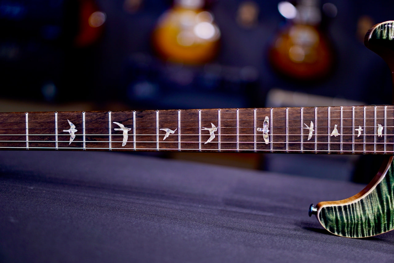 PRS Custom 24-08 Stained Neck - Ps color Sage 0425224