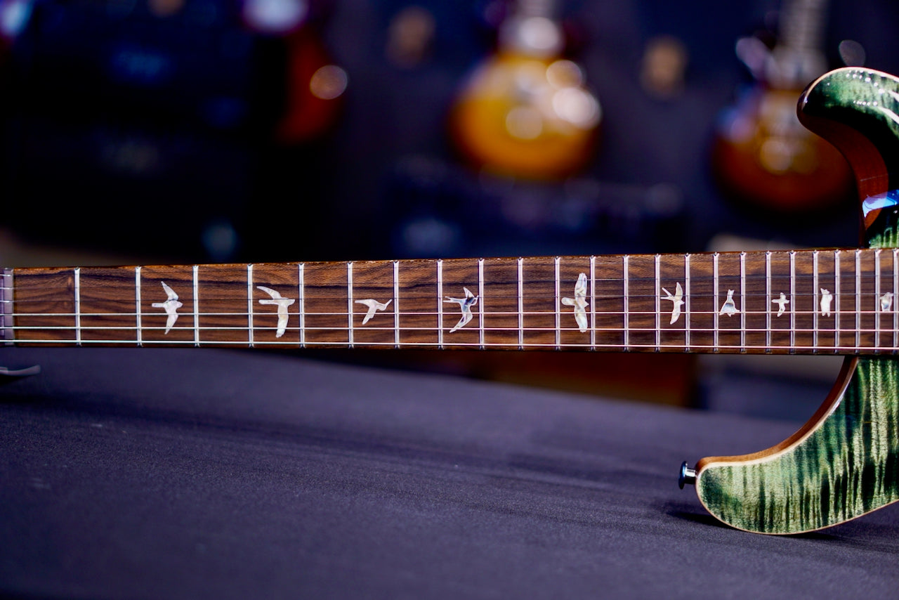 PRS Custom 24-08 Stained Neck - Ps color Sage 0426321