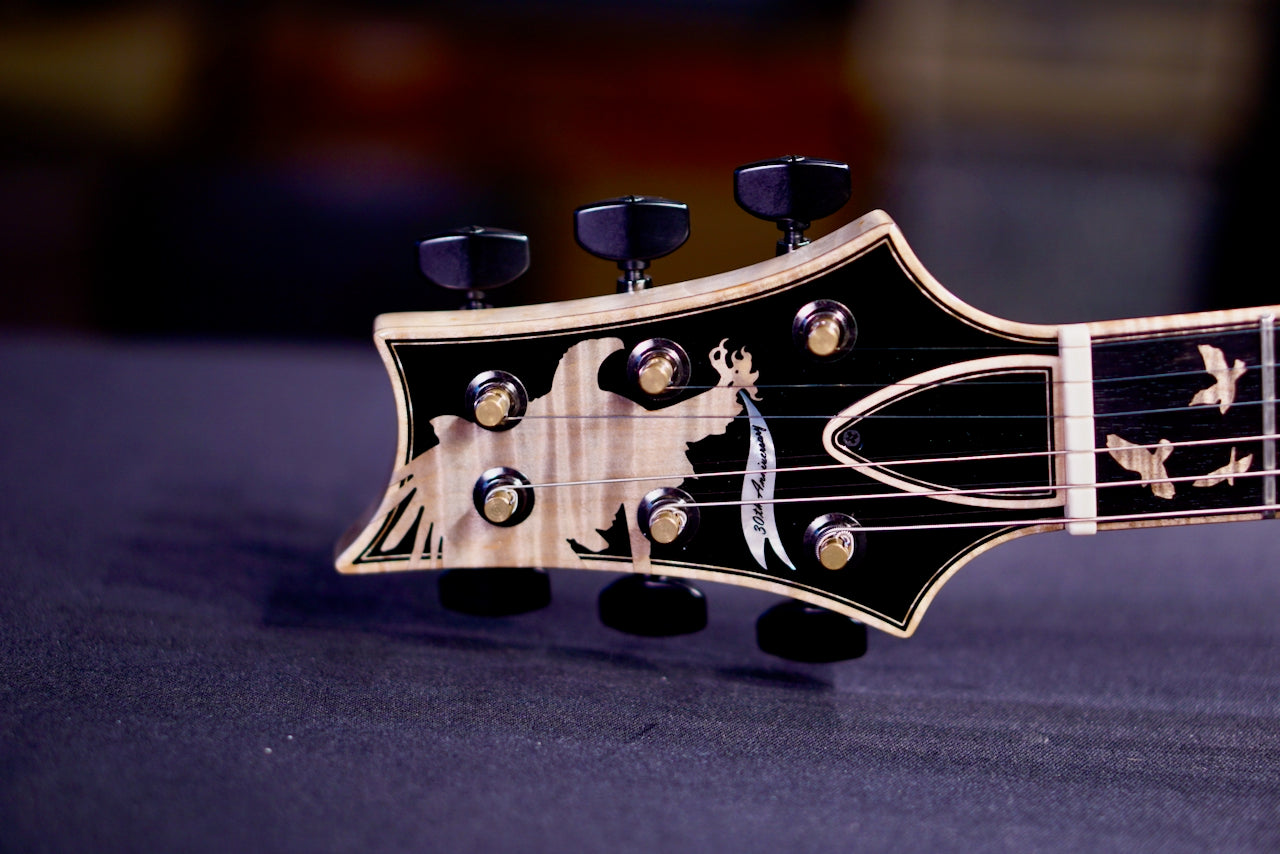 Private Stock 30th Anniversary "Birds of a Feather" Hollowbody I - 2026 PSLTD00185