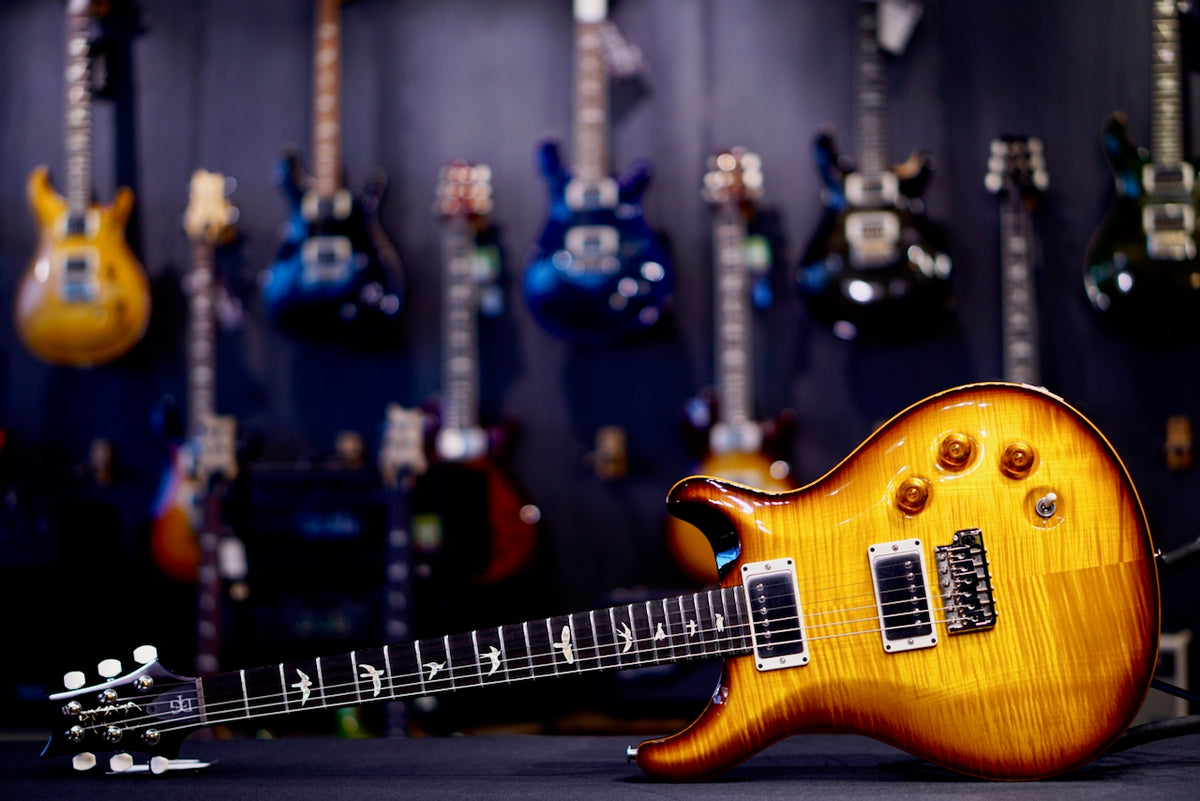 PRS DGT Birds Custom Color 0423131