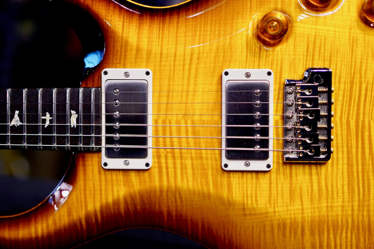 PRS DGT Birds Custom Color 0423131