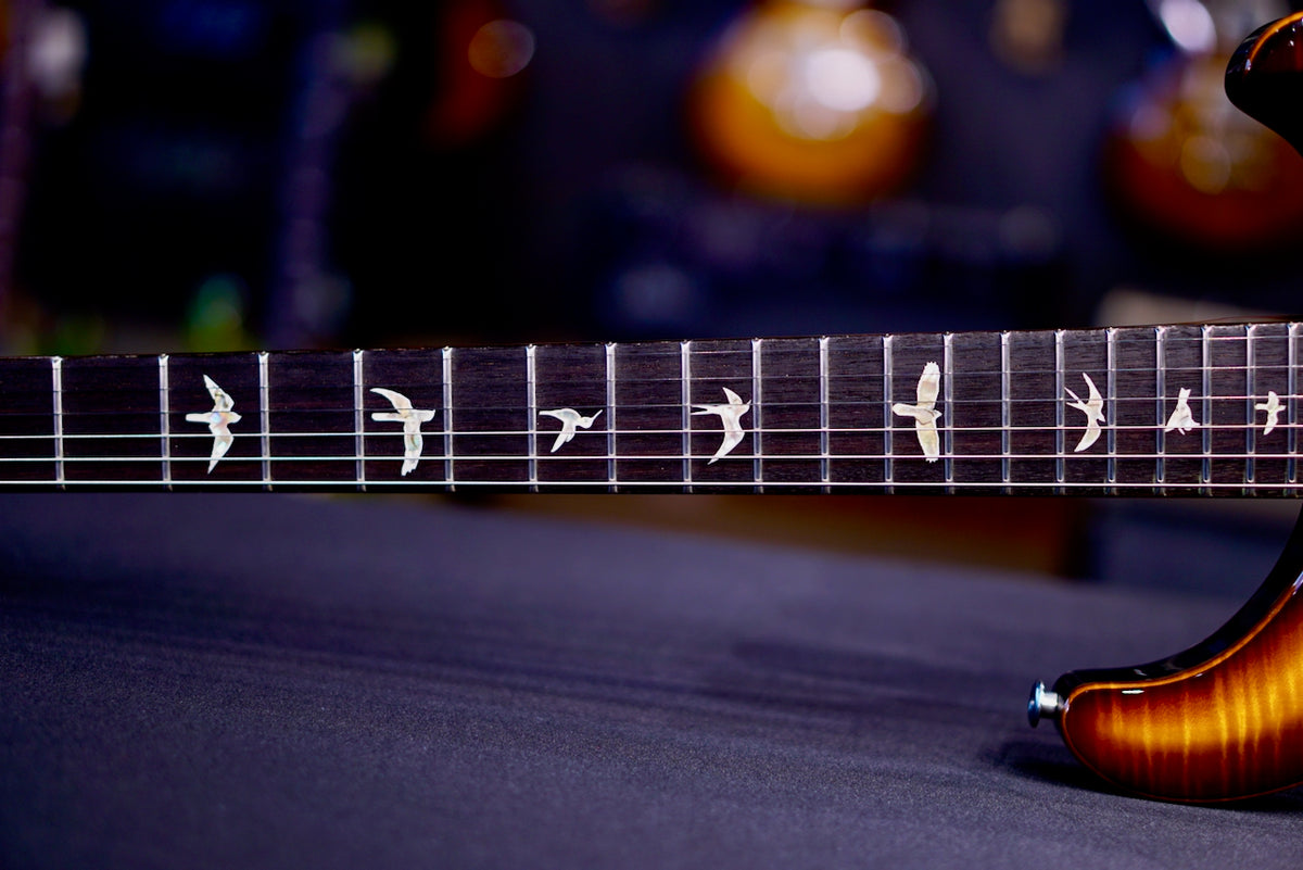 PRS DGT Birds Custom Color 0423131