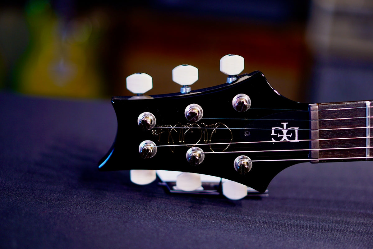 PRS DGT Birds Custom Color 0423131