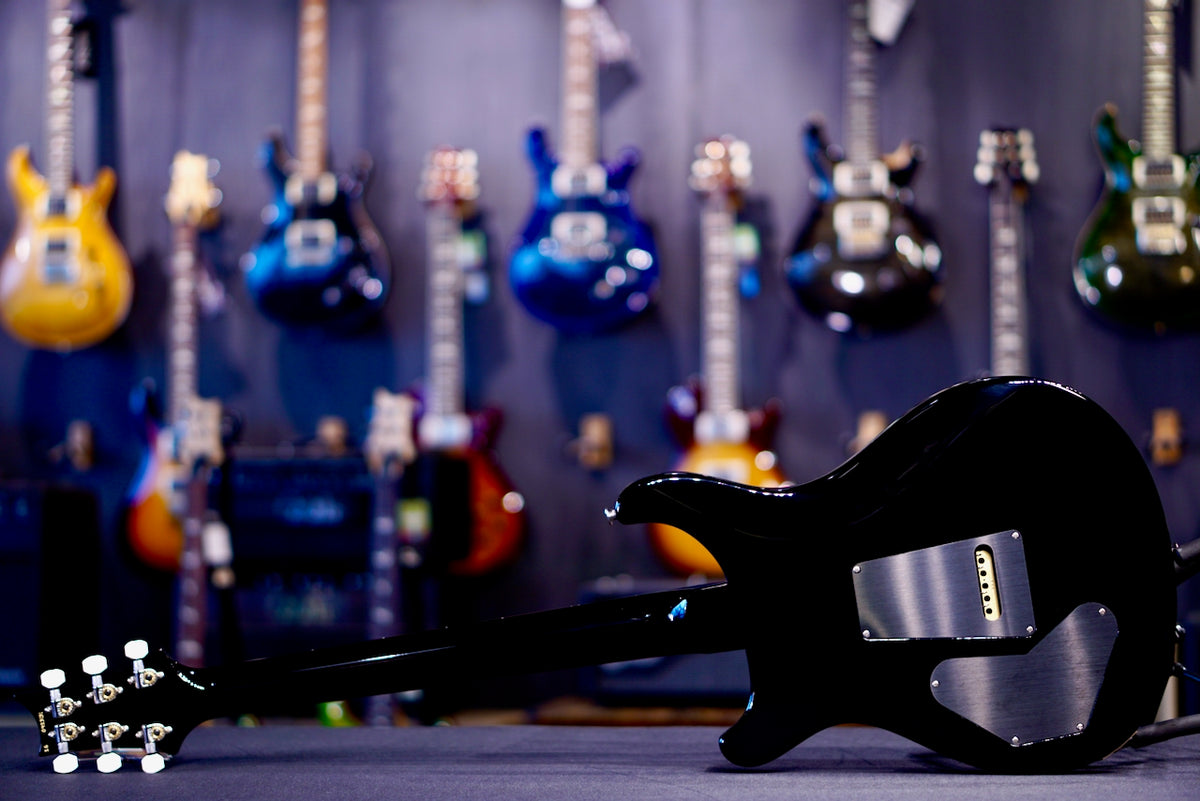 PRS DGT Birds Custom Color 0423131
