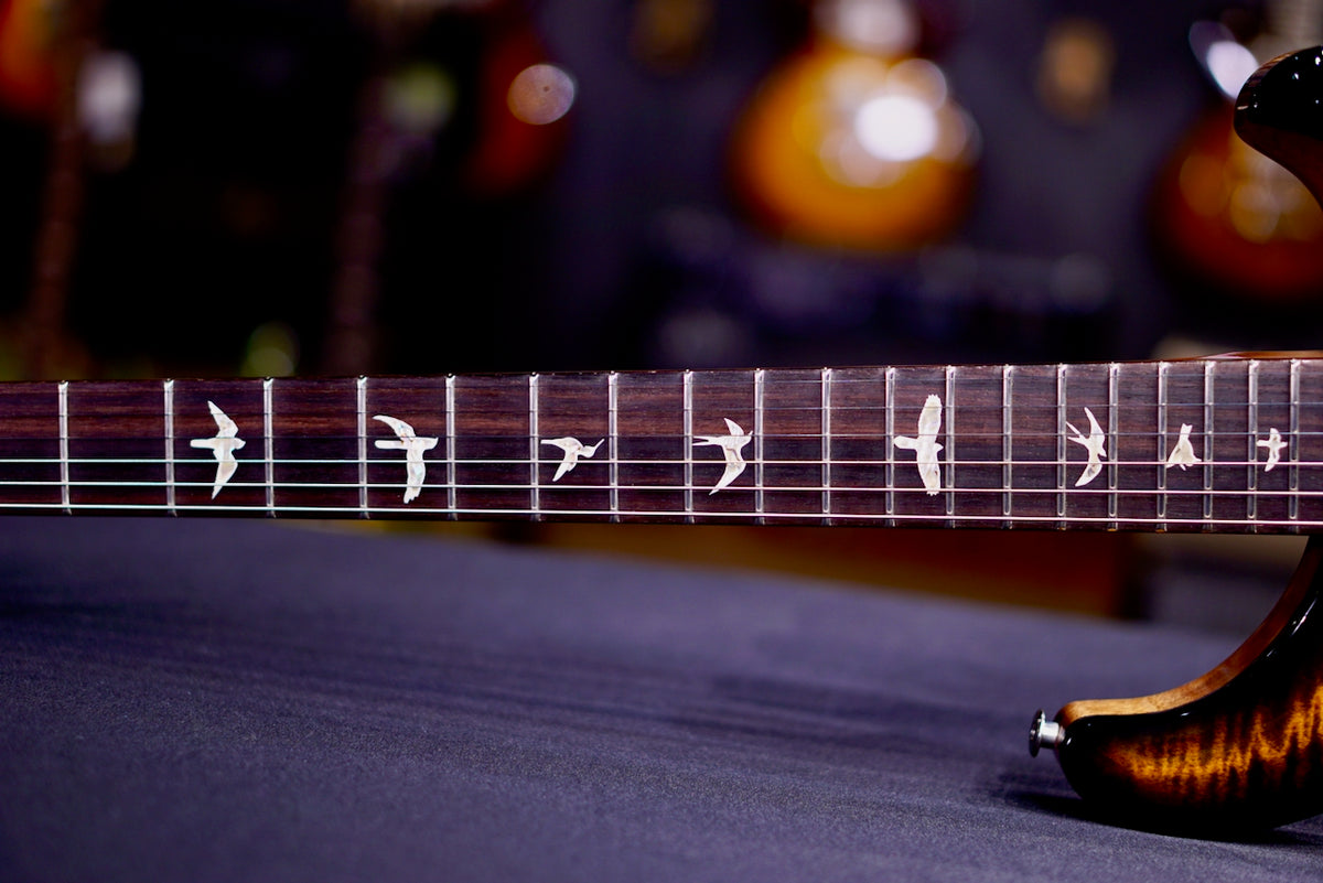 PRS DGT Birds Custom Color 0426356