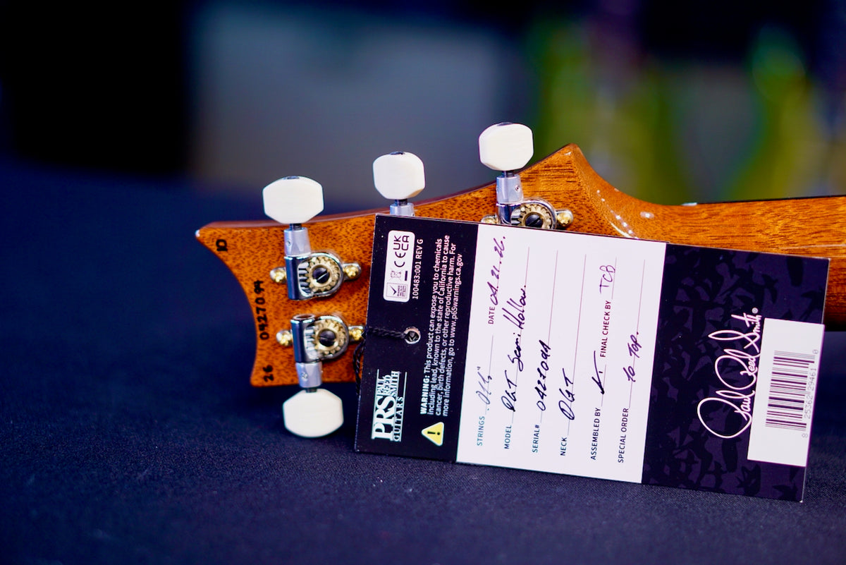 PRS DGT Semi-Hollow Birds 10 Top Faded Blue Jean 0427094