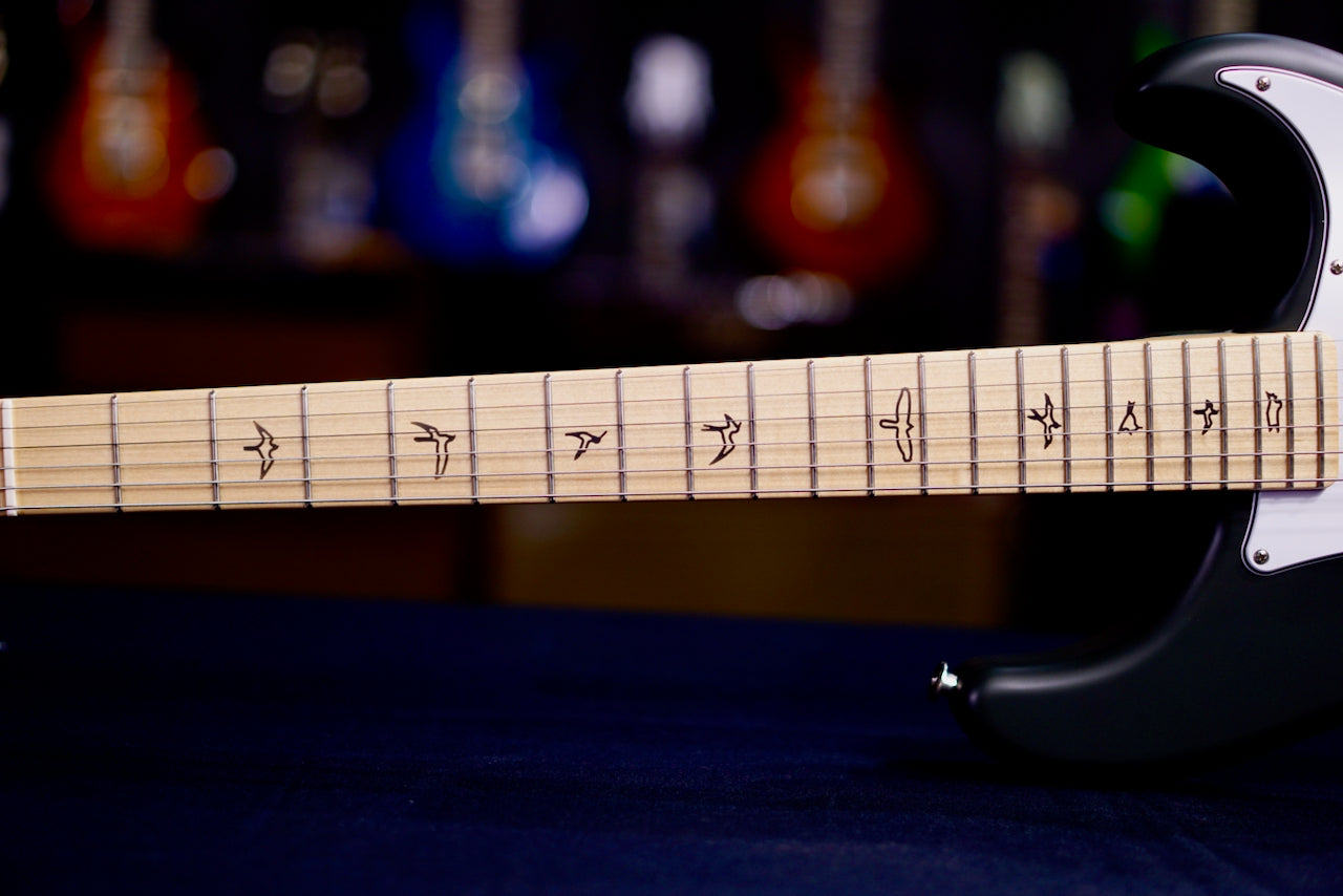 PRS Silver Sky john mayer Faded Black Tee (Satin Nitro) 0411845