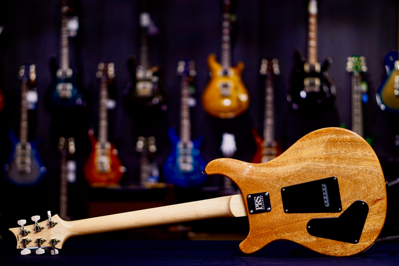 PRS CE 22 Limited Edition Carroll Blue 0411861