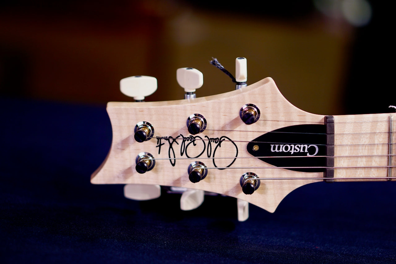 PRS Custom 24 Piezo Wood Library Artist Neck Custom Color 0405763