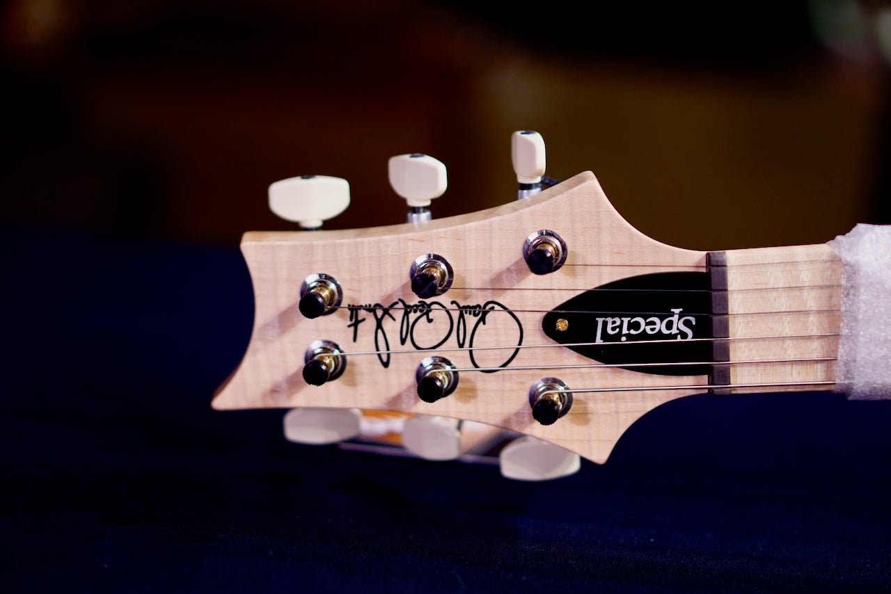 PRS Special 22 semi hollow wood library Eriza Verde 0408190