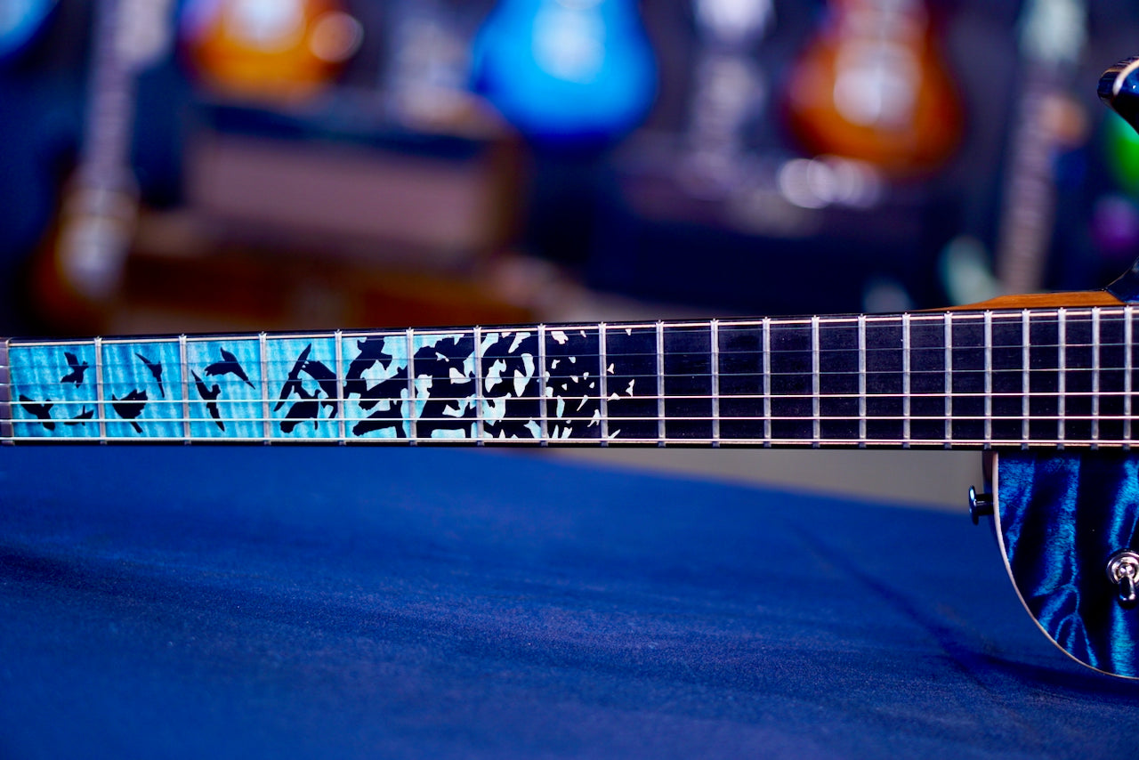 PRS Private Stock Tremonti Sub Zero Glow #11931