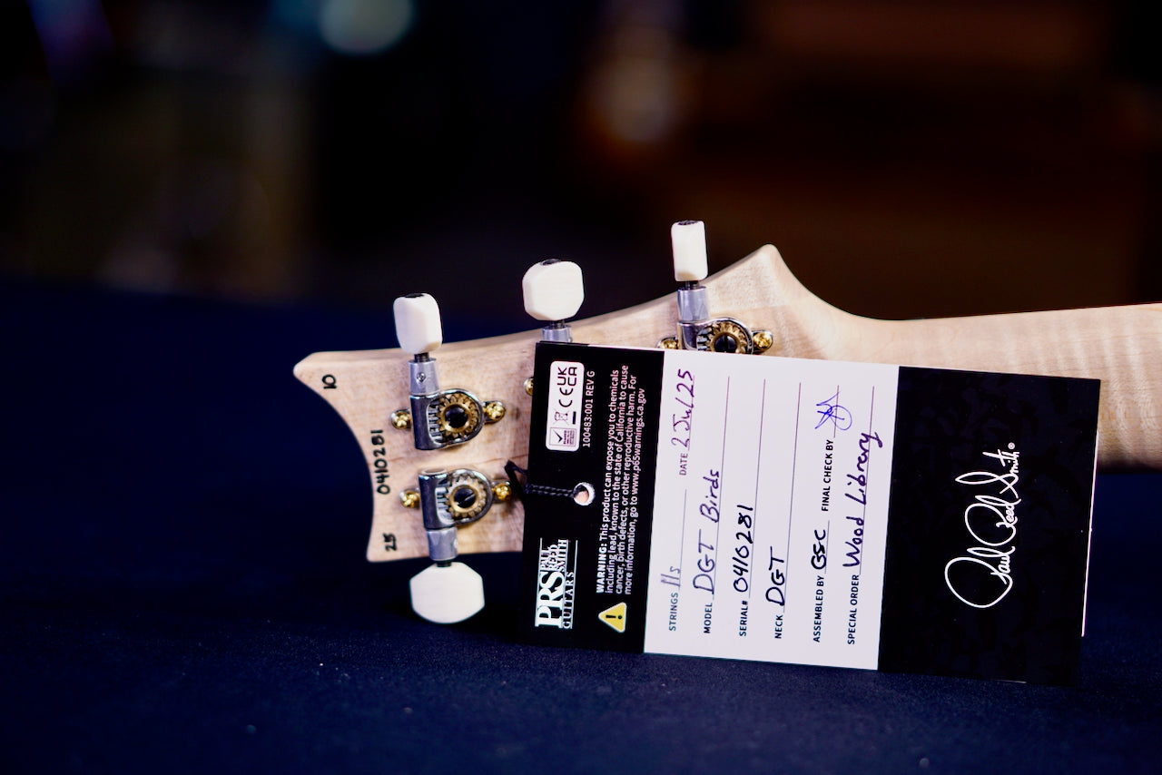 PRS DGT Wood Library Blue Fade  FlameNeck  0410281