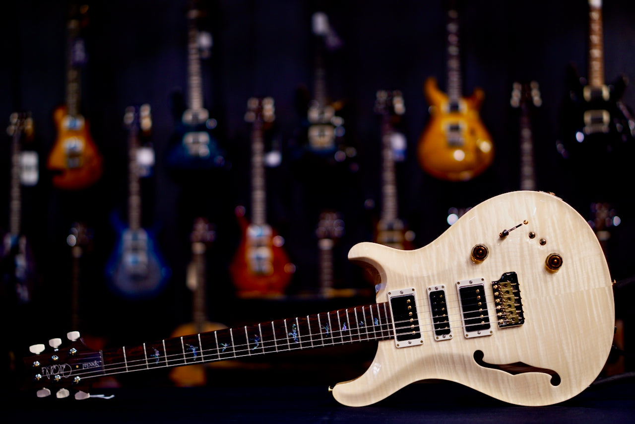 PRS Special 22 Semi Hollow Wood Library Natural Rosewood Neck 0409221