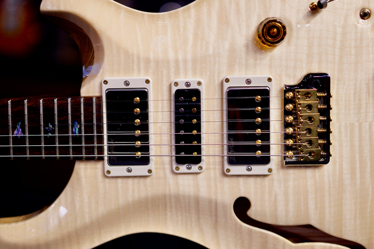 PRS Special 22 Semi Hollow Wood Library Natural Rosewood Neck 0409221