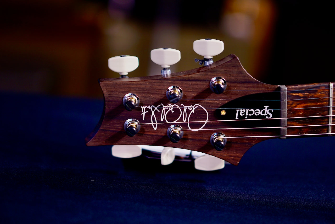 PRS Special 22 Semi Hollow Wood Library Natural Rosewood Neck 0409221