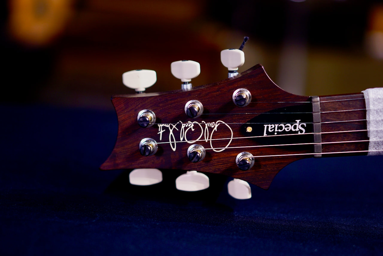 PRS Special 22 Semi Hollow Wood Library Eriza Verde Rosewood Neck 0409220