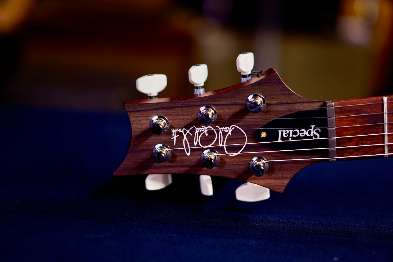 PRS Special 22 Semi Hollow Wood Library Blue Fade Rosewood Neck 0409222