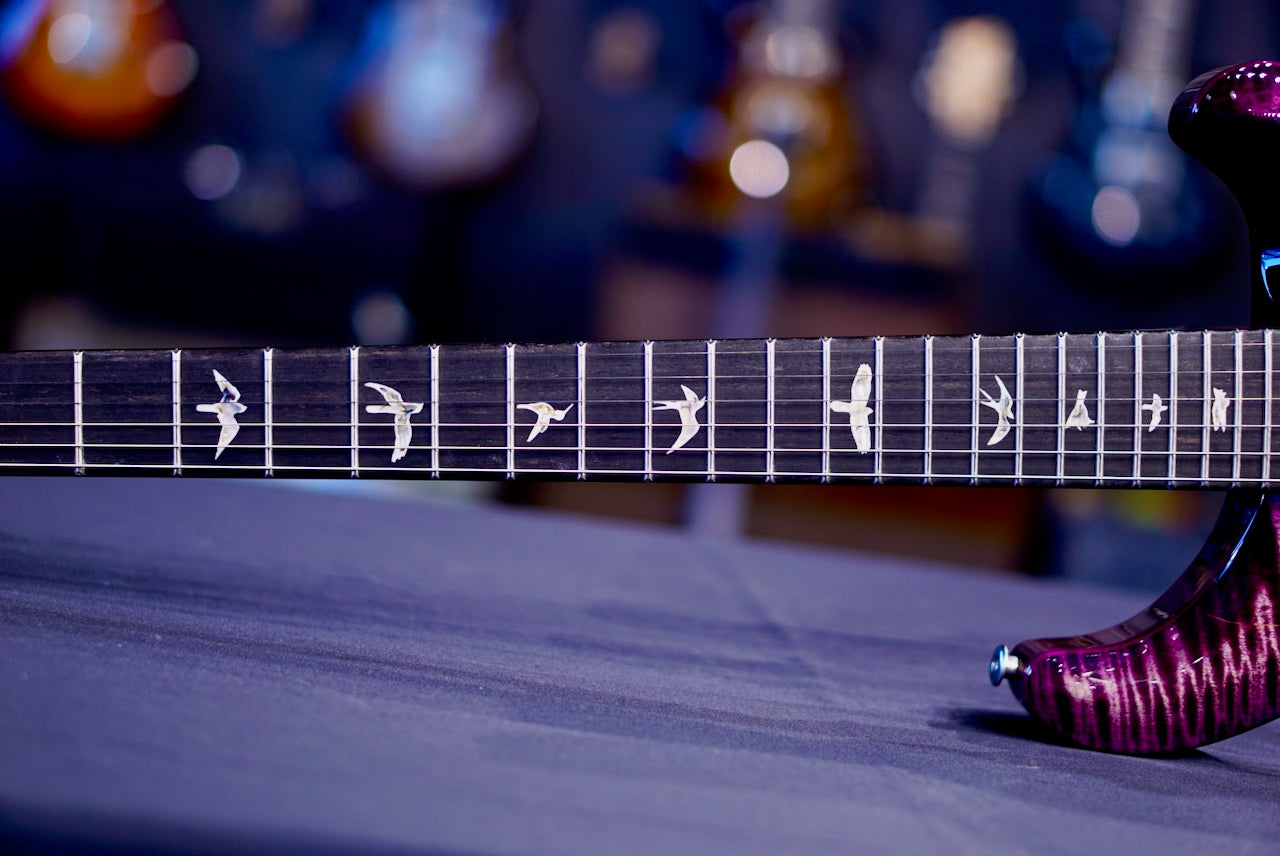 PRS Custom 24 Floyd Custom Color 10-Top 0412143