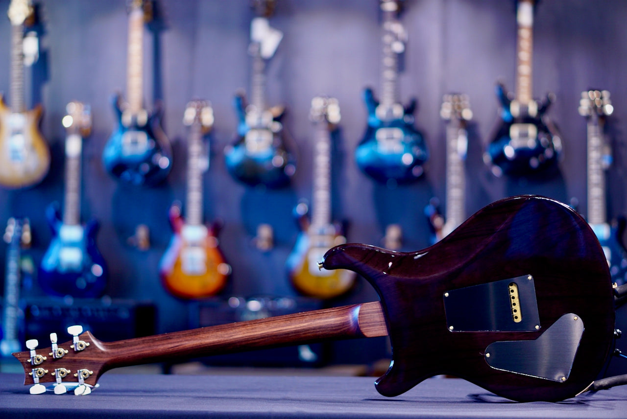 PRS Special 22 Semi Hollow Wood Library Jade Rosewood Neck 0413774