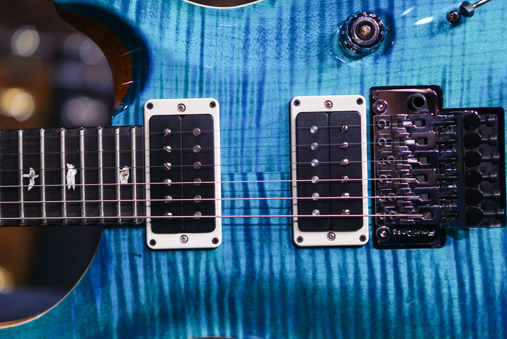 PRS Custom 24 Floyd Carroll Blue 0385695