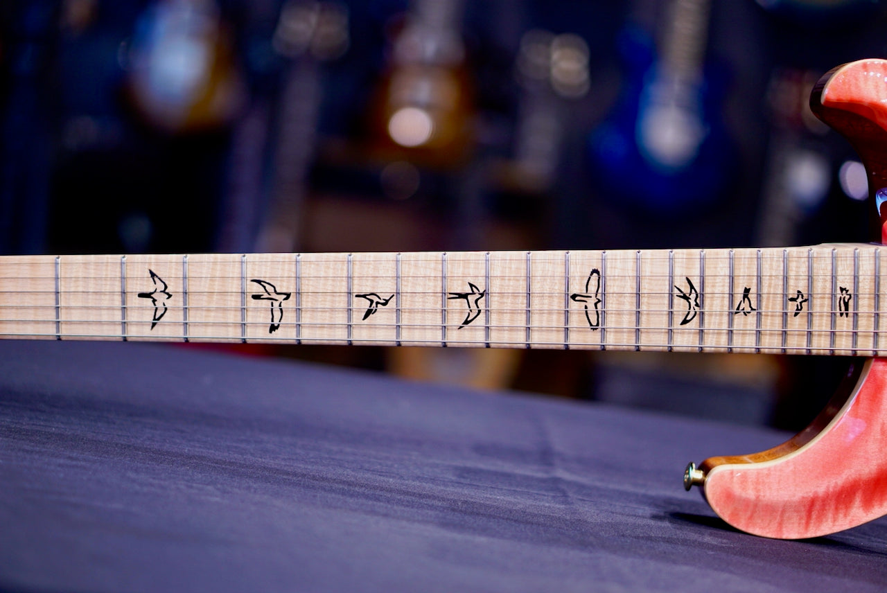 PRS Custom 24 Piezo Wood Library Artist Neck Bonnie Pink 0414184