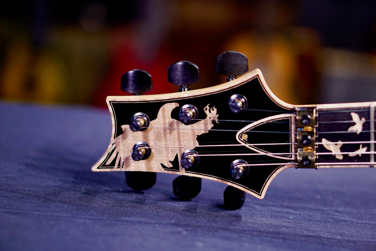 PRS Private stock Custom 24 Floyd Charcoal Glow PS11937 414765