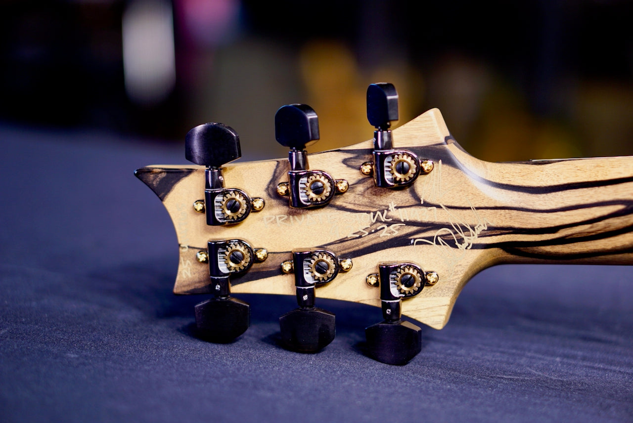 PRS Private stock Custom 24 Floyd Charcoal Glow PS11937 414765