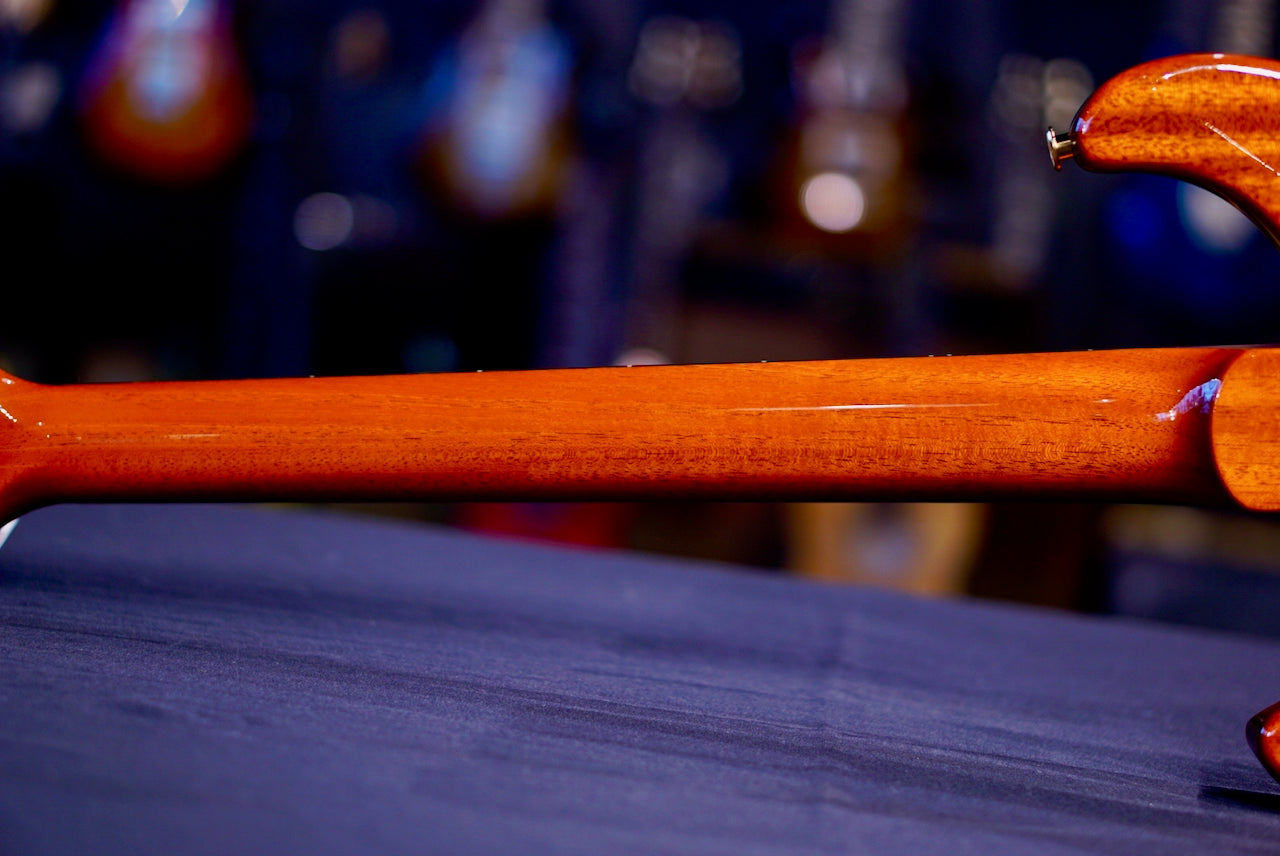 PRS DGT Burnt Maple Leaf Wood Library 0414095