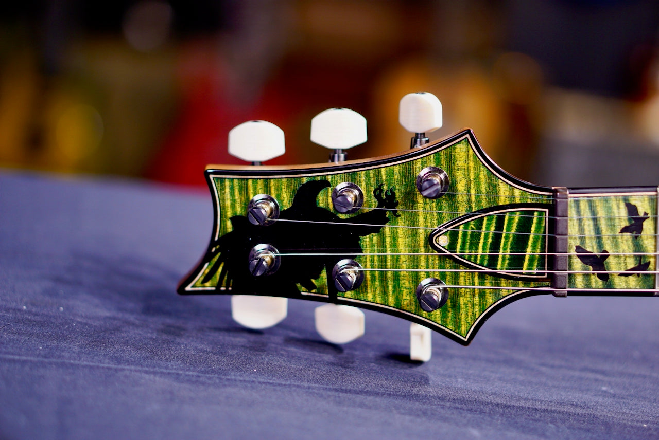 PRS Privatestock Custom 24-08 Piezo Rainforest Glow PS# 11999