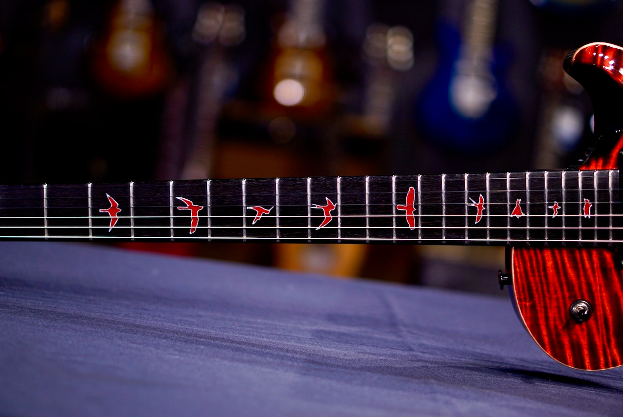 PRS Private stock Tremonti Dragon's breathe in dragon's breathe PS #11961 414750