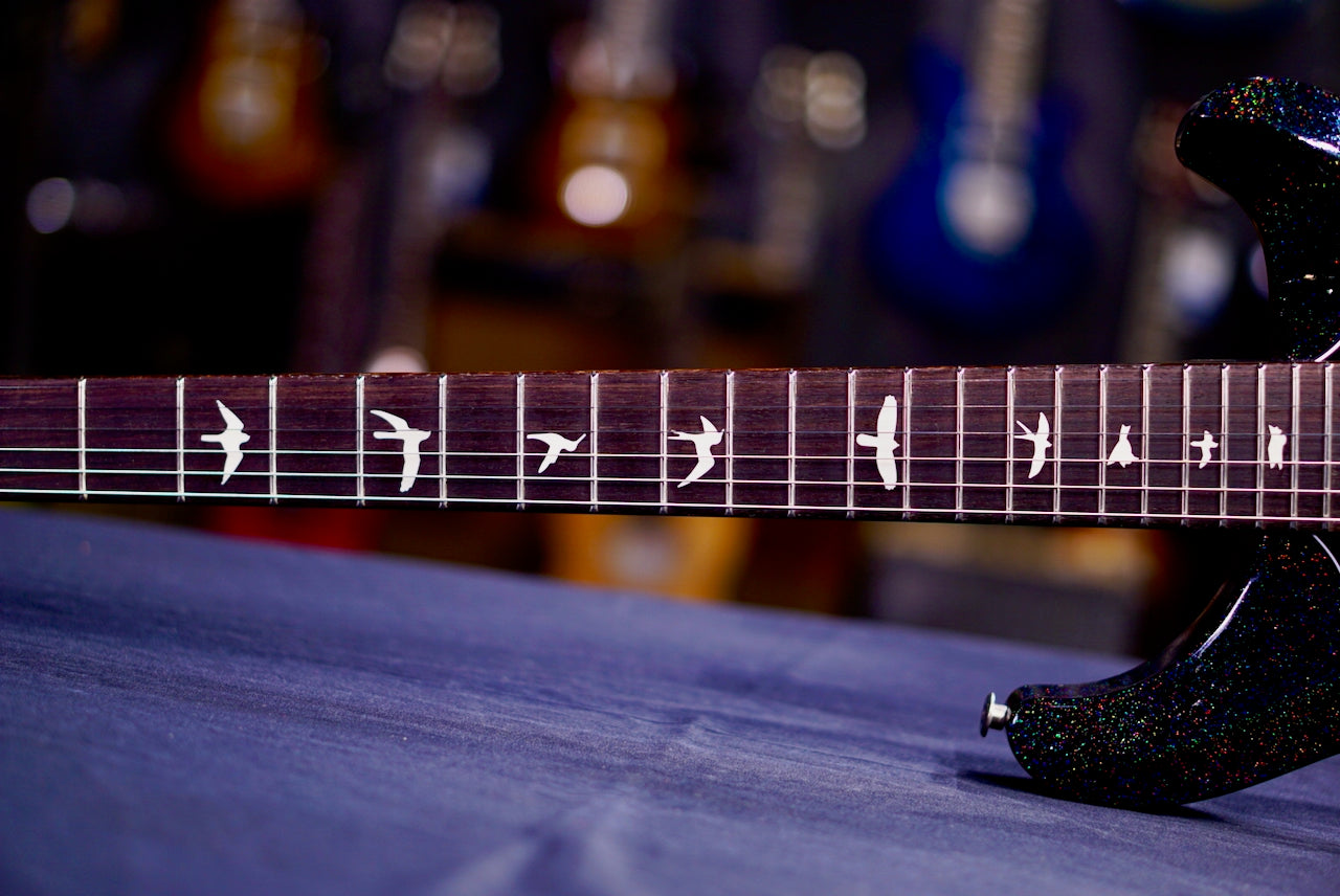 PRS S2 Standard 22 Black Rainbow Holoflake S2085861