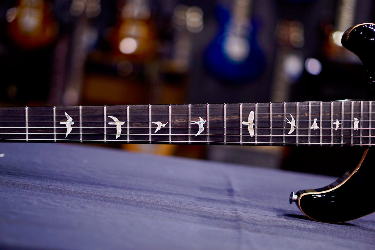 PRS Custom 24 Floyd Sprayer's Choice 0416827