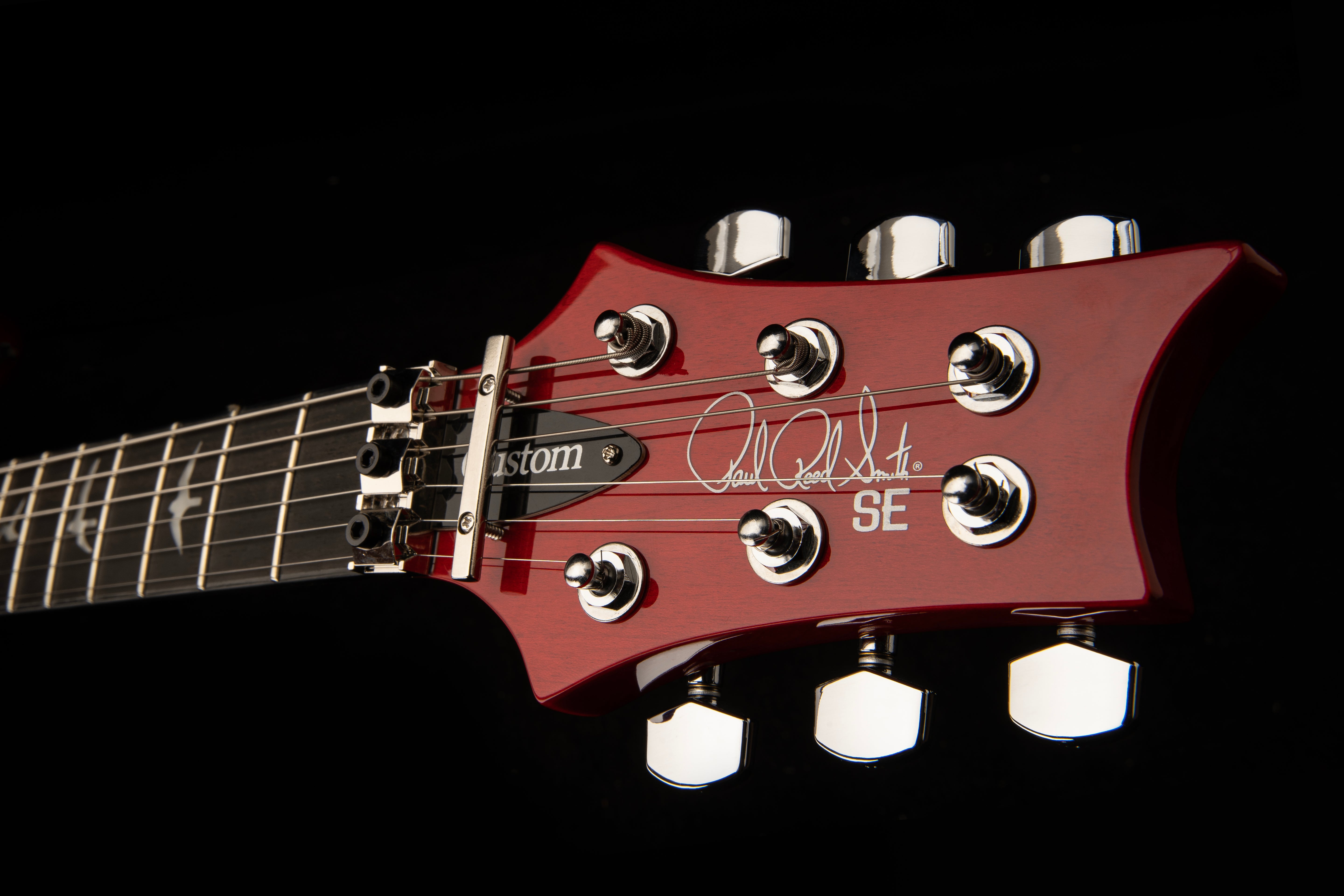 PRS SE Custom 24 Floyd Charcoal Cherry