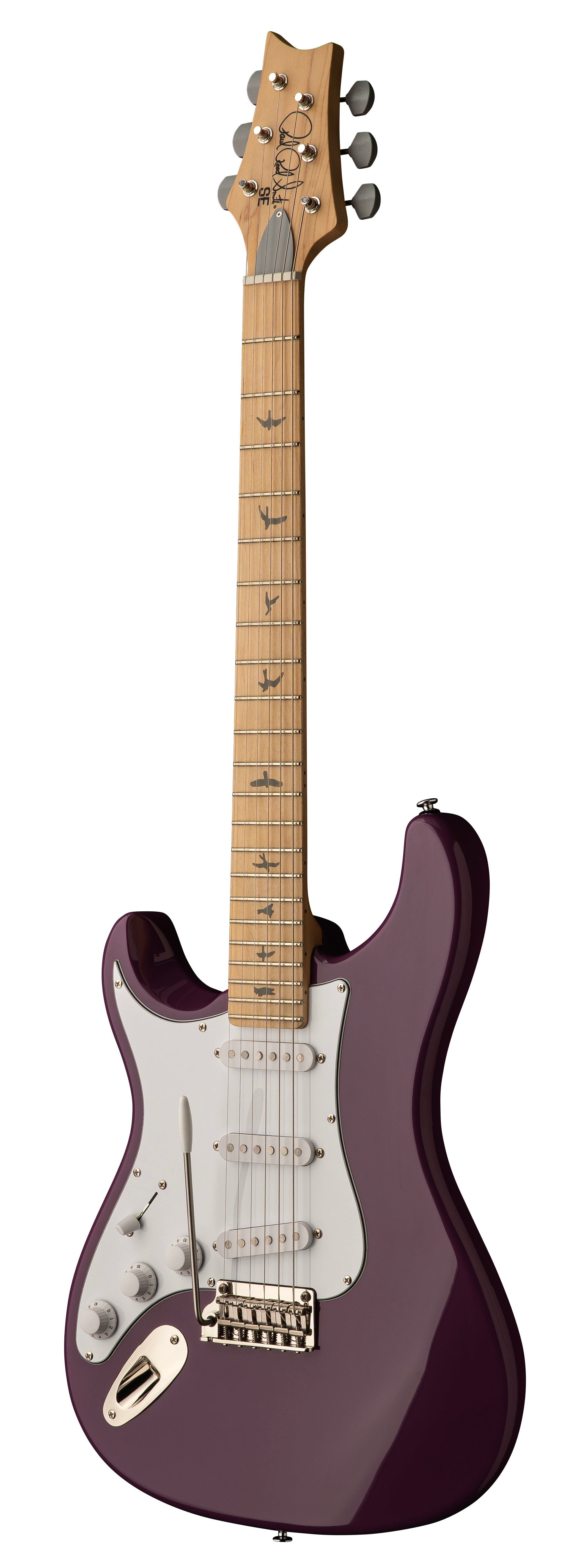 SE Silver Sky Maple summit purple "Lefty"