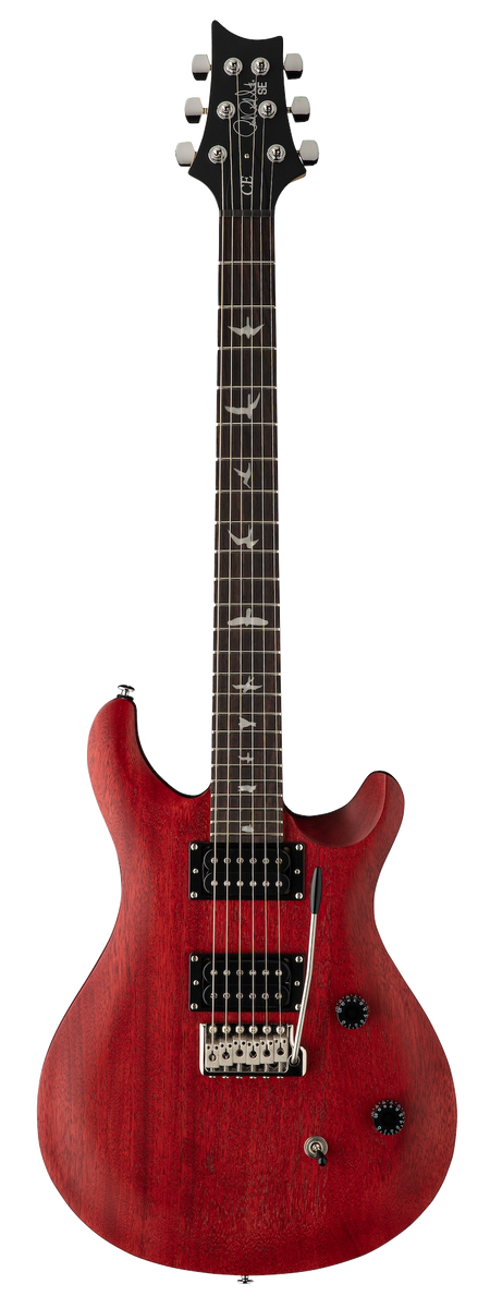 Prs standar se 24 2024年2月に購入。 - ギター